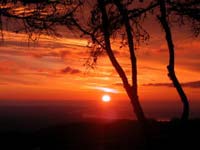 Seaview Log Cabins | Idyllic Countryside setting, Stunning Sea Views of Moray Firth, Sleeps 4 and 5