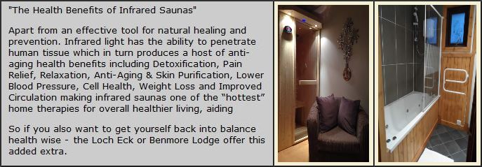 The Health Benefits of Infrared Saunas - Detoxification, Pain Relief, Relaxation, Anti -Aging, Skin Purification, Lower Blood Pressure, Cell Health, Weight Loss, and Improved Circulation
