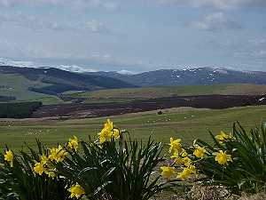 Holiday Cottages Cairngorms Loch Ness East Coast