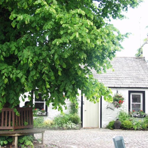 Holiday Cottage New Abbey Dumfries Galloway