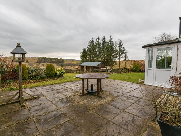 Galloway Forest Park Group