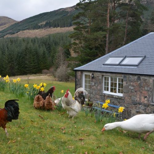 Great Glen Way Holiday Cottage