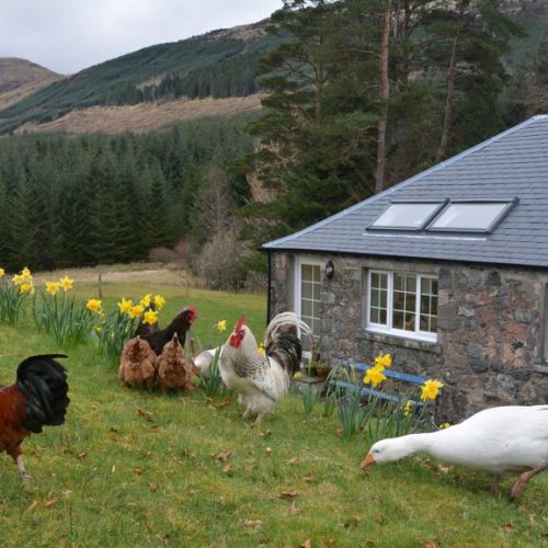 Great Glen Way Holiday Cottage